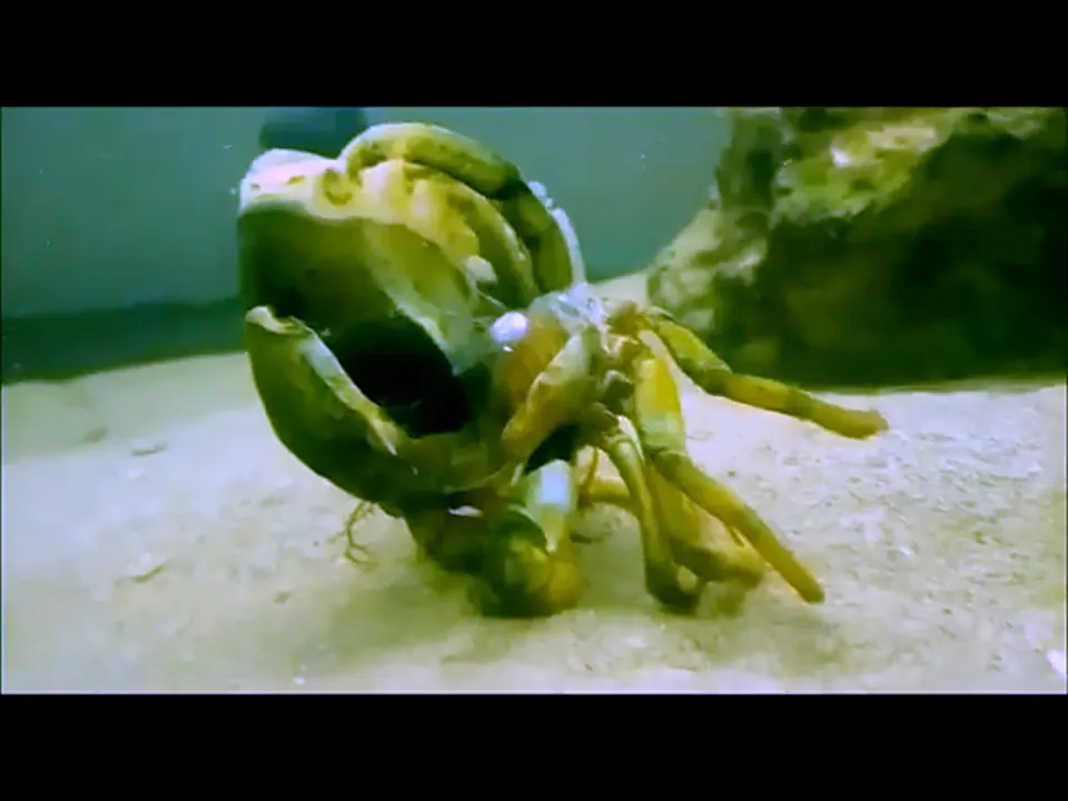 VARIOUS OTHERS – Contemporary Art Munich - ERES Projects