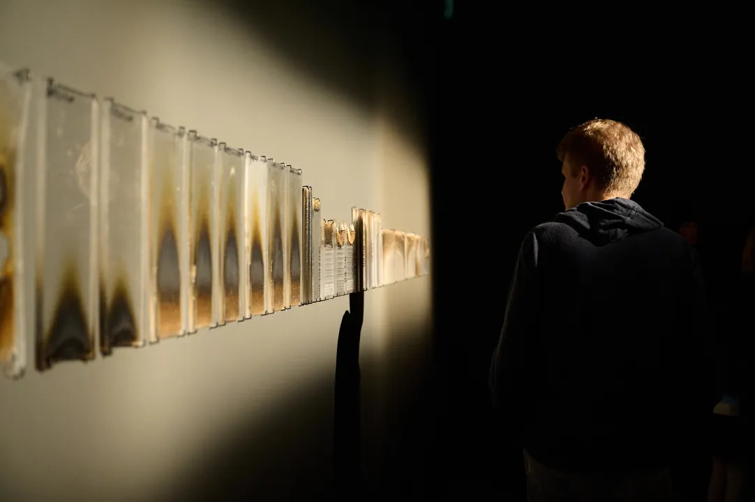 VARIOUS OTHERS – Contemporary Art Munich - Ausstellungsansicht, Franz Wanner. Eingestellte Gegenwarten, Städtische Galerie im Lenbachhaus und Kunstbau München 2026. Foto: Ernst Jank © Franz Wanner