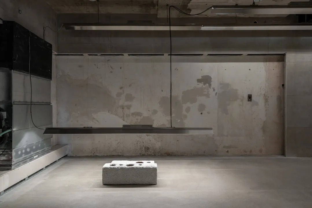 VARIOUS OTHERS – Contemporary Art Munich - Installation view Eva Hesse, Lukas Heerich, Rindon Johnson, 2026 | Photo: Dirk Tacke